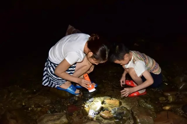 这帮家长带着孩子雨夜大冒险，只为做这件事，好酷！